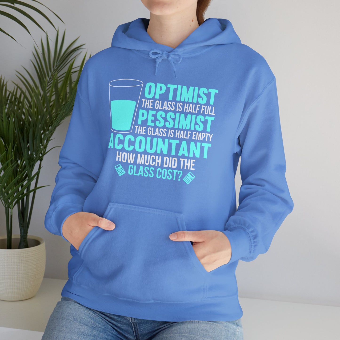 Hooded Sweatshirt - Accountant: How Much does the Glass Cost?